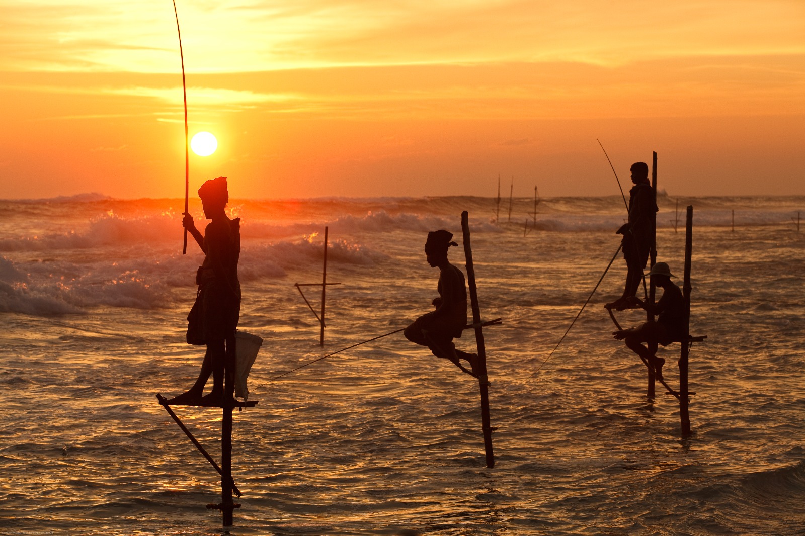 Traditional fishing in Sri Lanka