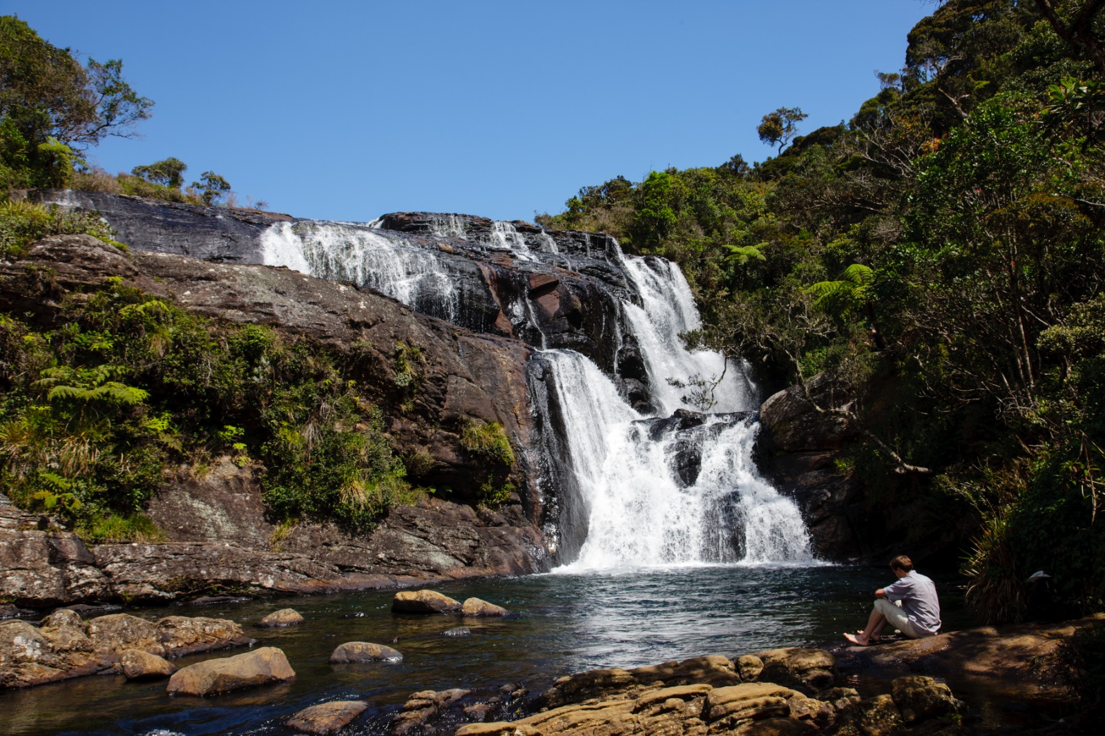 Waterfall cascading through Sri Lankan rainforest
