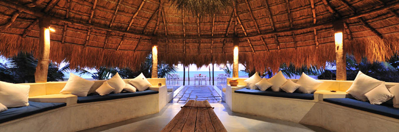 dolphin beach resort