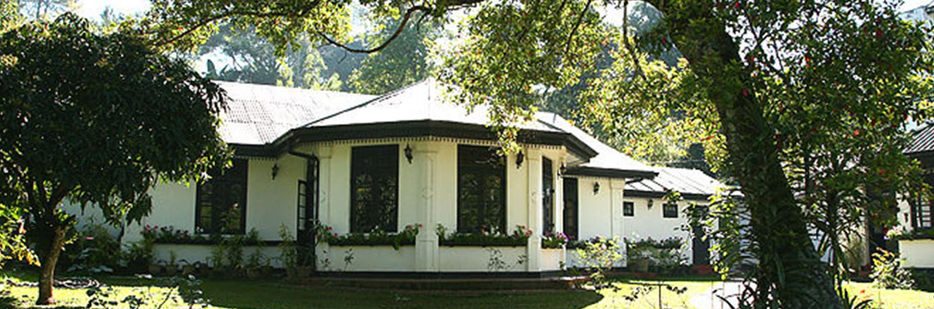kithul rest